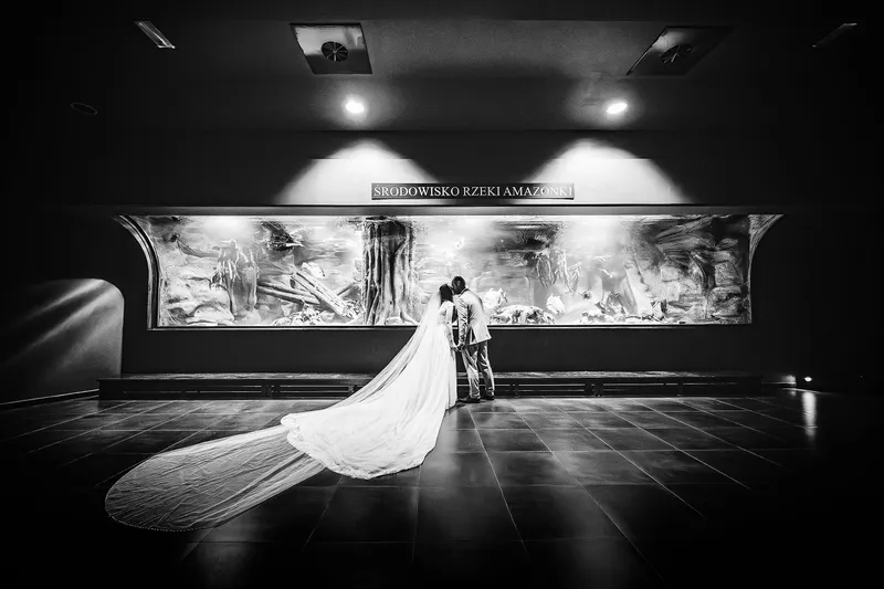 SkyVision Fotografia Ślubna - Zdjęcie 51